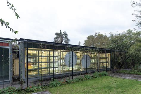 Photo Of In The Jambatu Center For Amphibian Research And Museum