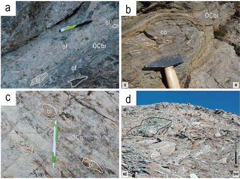 Representative Lithologies Of The Punta Rognosa Succession A Clasts