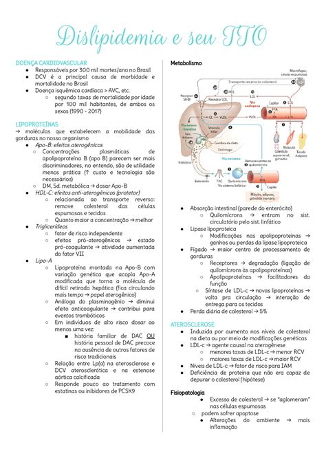 Tratamento De Dislipidemias Notas De Estudo Cardiologia Docsity