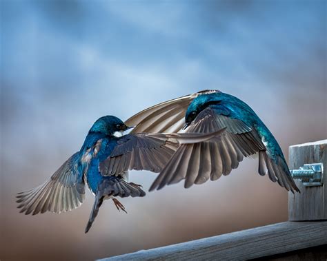 283 Best Hamilton Ontario Images On Pholder Ontario Earth Porn And Amateur Room Porn