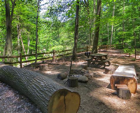 Girdled Road Reservation Campsite In Concord Lake Metroparks