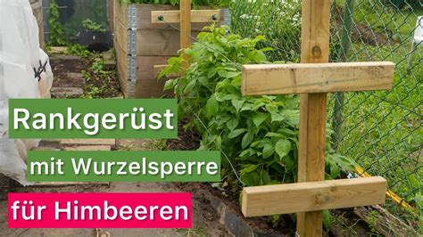 Rankgerüst mit Wurzelsperre für Himbeeren oder Brombeeren DARAUF