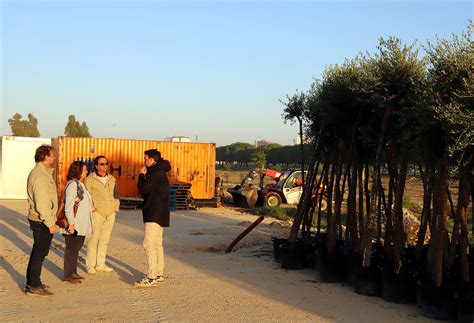 El PSOE De Jerez Denuncia Recortes En El Bosque Urbano De La Canaleja