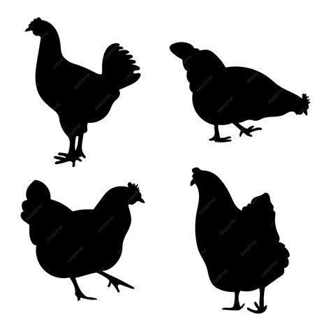 Coq Coq Coq Bantam Poulet Poule Poussin Position Debout Différent Pack