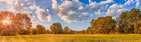 Premium Photo Colorful Autumn Sunrise On Meadow Panoramic Nature