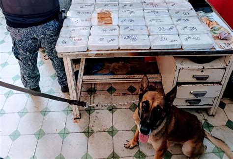 Argentino Fue Detenido Con Más De 32 Kg De Pasta Base De Cocaína Que