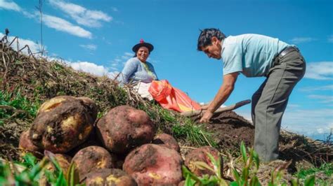 D A Del Campesino Por Qu Se Celebra El De Junio Y Por Qu Es