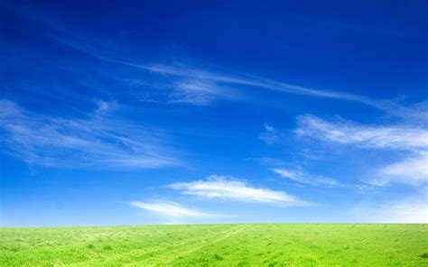 Blue Sky And Green Grass - Wallpaper, High Definition, High Quality, Widescreen