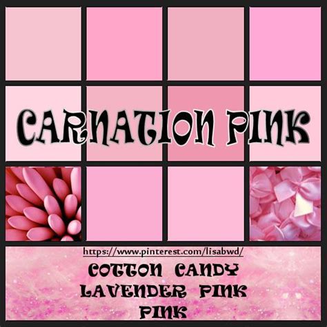 Pin By Lisabwd 💗pin Freely💗 On 64h Carnation Pink Cotton Candy Lilac