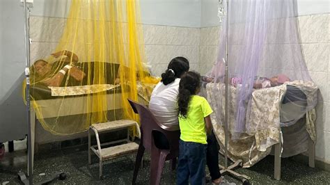 Aumenta a 40 el número de pacientes ingresados por dengue en el