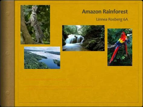 Ppt Amazon Rainforest Powerpoint Presentation Id2273384