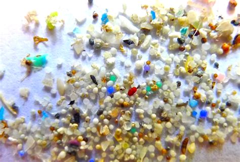 WHAT ARE MICROBEADS AND WHY ARE THEY ILLEGAL? POPULAR SCIENCE ...