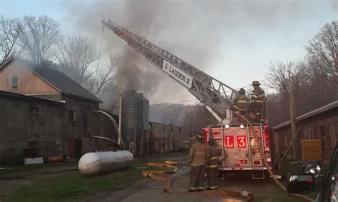 Fire at poultry farm leaves 3,000 chickens dead - Boston News, Weather ...