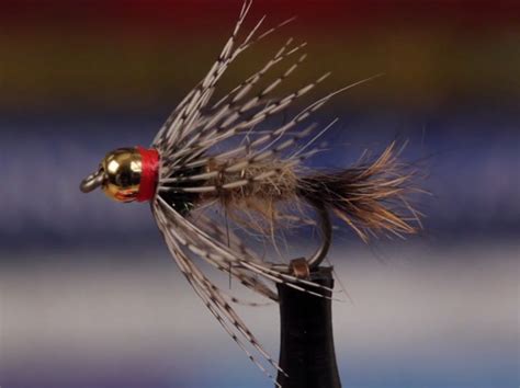 8 Trout Fly Patterns To Tie During Quarantine Flylords Mag