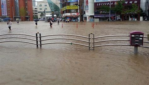 부산 집중 호우로 4명 사망 네이트 뉴스