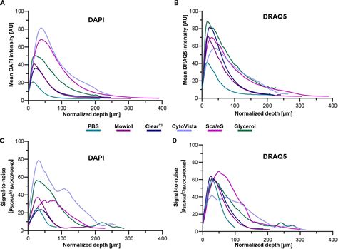 Frontiers Routine Optical Clearing Of D Cell Cultures Simplicity