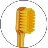 Products – Pesitro