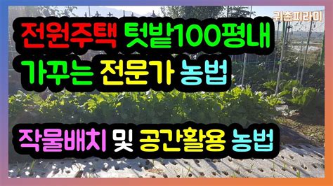 전원주택에 딸린 100평내의 텃밭 운영 농법 작물배치 및 공간활용은 어떻게하는 것이 좋을까 귀촌피라미 Youtube