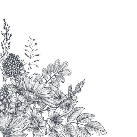 Premium Vector Floral Backgrounds With Hand Drawn Flowers And Plants