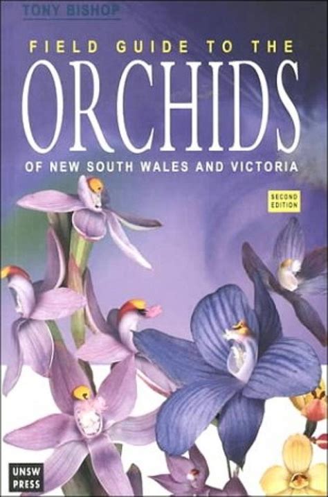 Field Guide To The Orchids Of New South Wales And Victoria Nhbs Field