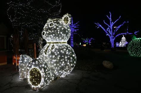 Wild Winter Lights returns to the Cleveland Metroparks Zoo, with new ...