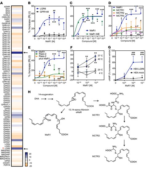 MaR1 Candidate Receptors A A Panel Of Orphan GPCRs Was Screened In