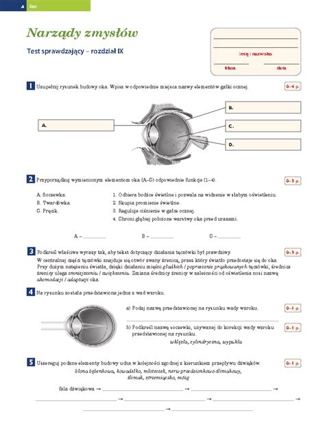 Test Narzady Zmyslow A Test Narz Dy Zmys W Test Sprawdzaj Cy