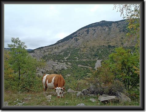 Retos rutas y ratos Ascensión al Puig Occidental de Coll Roig 2 833