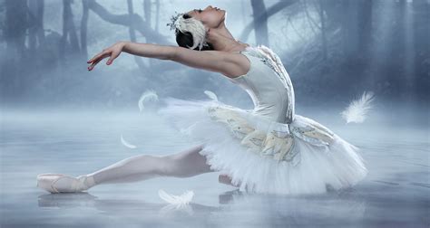 The Legacy Of Swan Lake