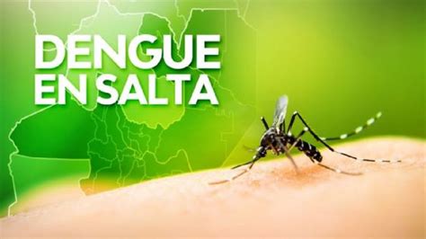 Ya Son Los Muertos Por Dengue En El Pa S Salta Sigue Siendo La