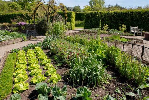 How To Make A Permaculture Garden | Lawn.com.au