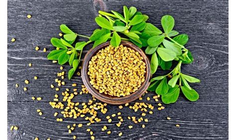 101 Guide How To Grow Fenugreek Or Methi Leaves At Home