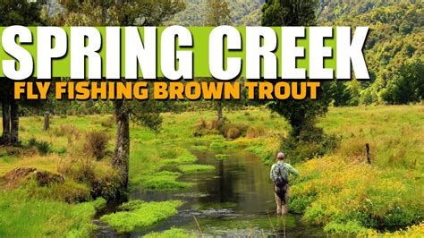 Spring Creek Fly Fishing For Brown Trout 2 Spring Creeks On 1