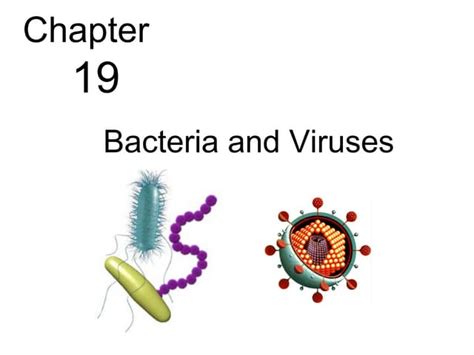 Biology Chp 19 Bacteria And Viruses Powerpoint Ppt