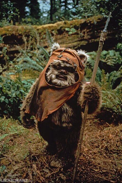 Star Wars Species: Ewoks | Star Wars Amino