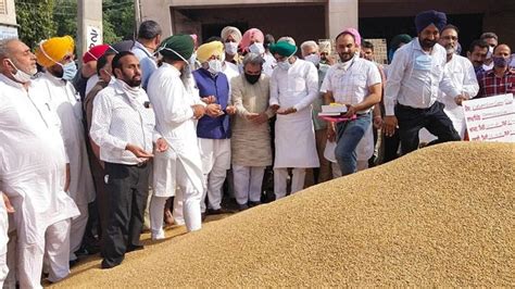 Lakh Tonne Wheat Arrived Procured Punjab Minister Hindustan