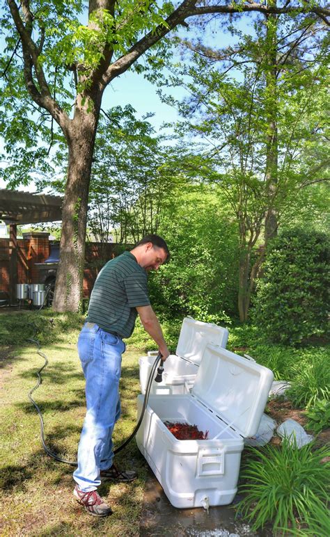how to clean crawfish before boil