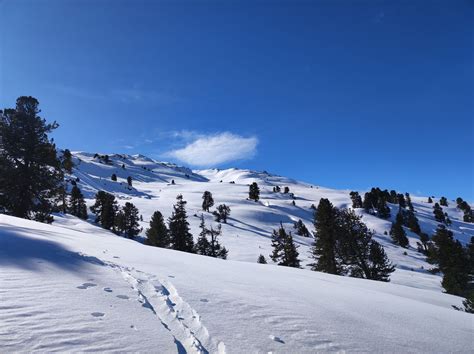 Schafkopf Skitour Kitzb Heler Alpen Sterreich Gipfelkonferenz