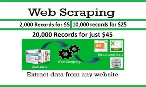 Top 15 Services For Data Scraping And Web Crawling On Fiverr Empower