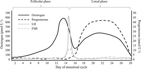 Graphical Representation Of Oestrogen Progesterone Luteinising