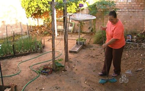 Rede Globo tv roraima Bom Dia Amazônia Dia Nacional do Aposentado