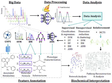 Workflow For Metabolomics Data Analysis And Biochemical Interpretation Download Scientific