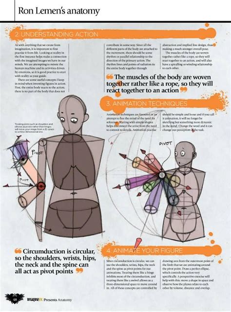 character anatomy ideas   sketches anatomy anatomy drawing