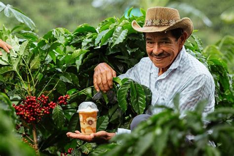 Café colombiano: É bom mesmo ou é marketing? Saiba tudo aqui!