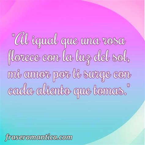 Mejores Frases De Amor Con Rosa Frase Romantica