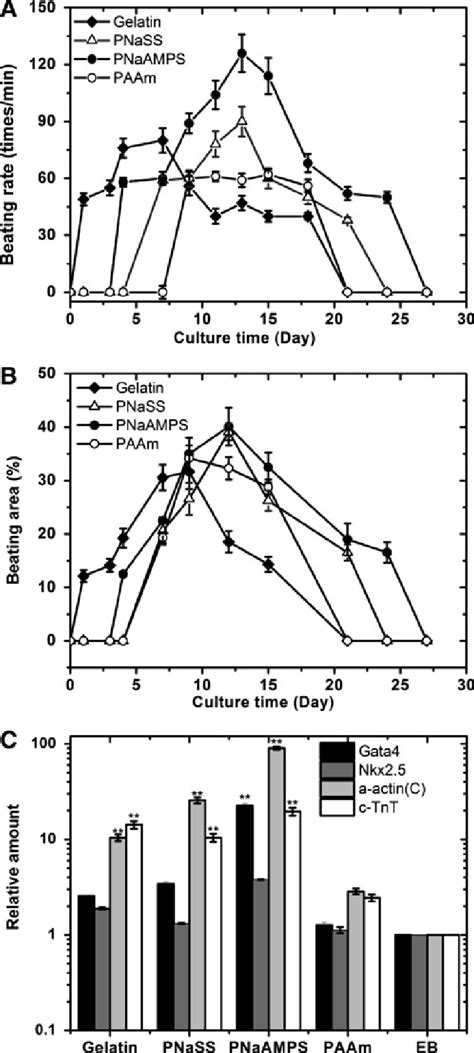 The Existence Of Mouse Es Cell Derived Cardiomyocytes On Various