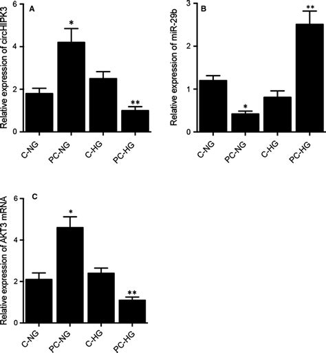 Differential Expression Of Circhipk Mir B And Akt Mrna In The