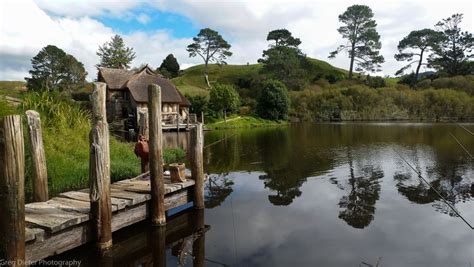 Hd Wallpaper Brown Wooden Dock Nature Landscape New Zealand