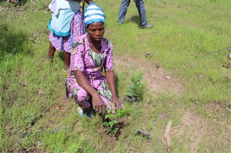 Er Juin Opas C L Bre La Journ E Nationale De L Arbre Au Togo