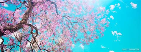 Spring Cherry Blossom Tree Facebook Timeline Cover Background Facebook Cover Facebook Cover